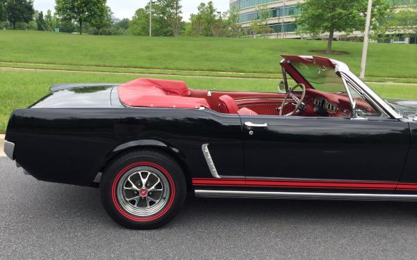 1965 Ford Mustang GT Fastback + Convertible